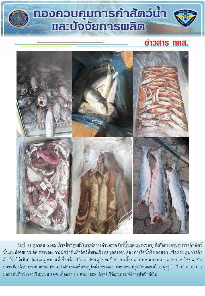 เจ้าหน้าที่ศูนย์บริหารจัดการด่านตรวจสัตว์น้ำเขต 3 (สงขลา) สังกัดกองควบคุมการค้าสัตว์น้ำและปัจจัยการผลิต ตรวจสอบการนำเข้าสินค้าสัตว์น้ำประเภทตู้คอนเทนเนอร์ ณ จุดตรวจปล่อยท่าเรือน้ำลึกสงขลา..คลิก