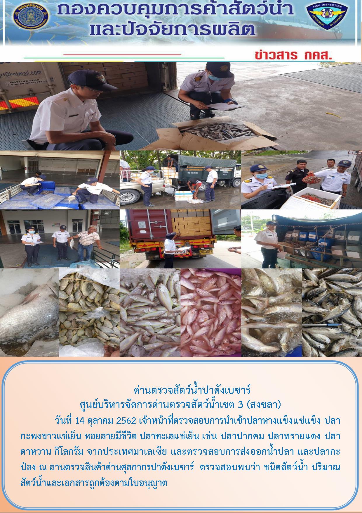 ด่านตรวจสัตว์น้ำปาดังเบซาร์ตรวจสอบสัตว์น้ำนำเข้า-ส่งออก..คลิก