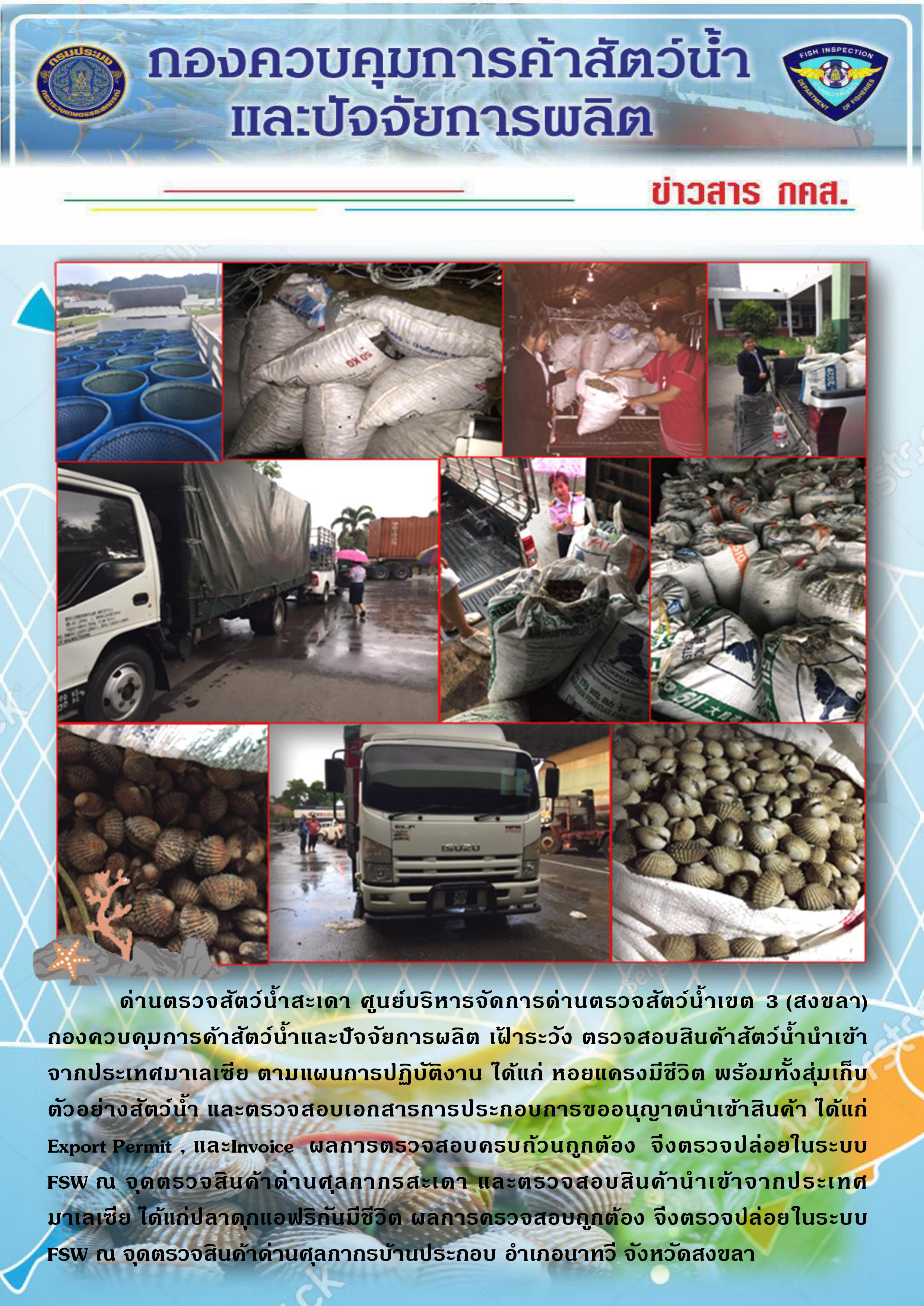 ข่าวสาร กคส. ประจำวันอาทิตย์ที่ 13 ตุลาคม 2562..คลิก