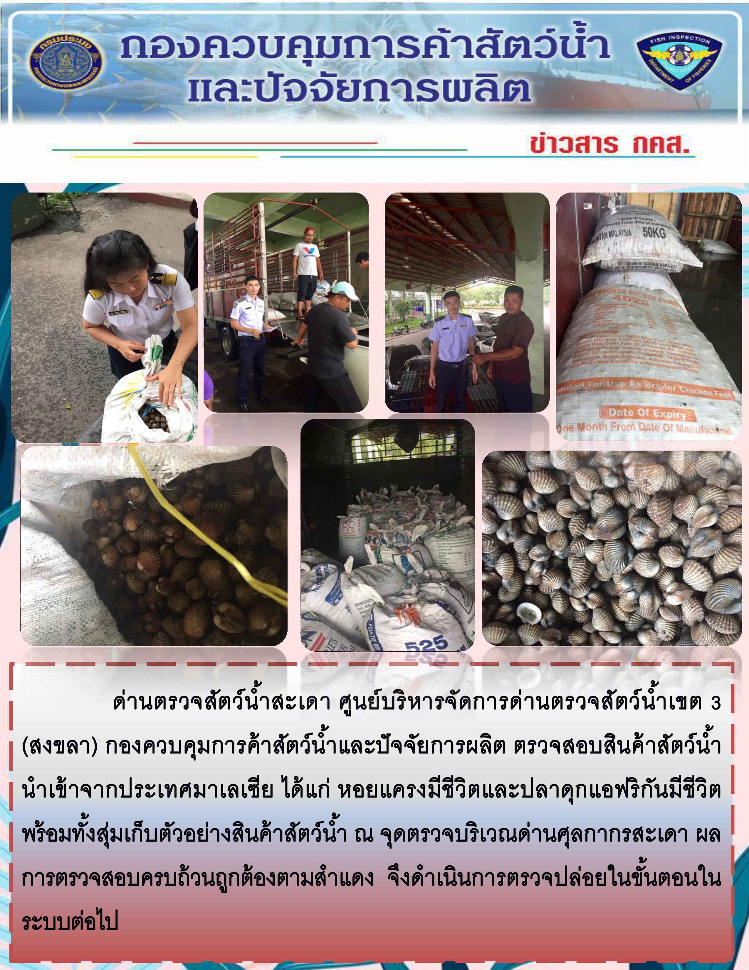 ข่าวสาร กคส. ประจำวันจันทร์ที่ 14 ตุลาคม 2562..คลิก