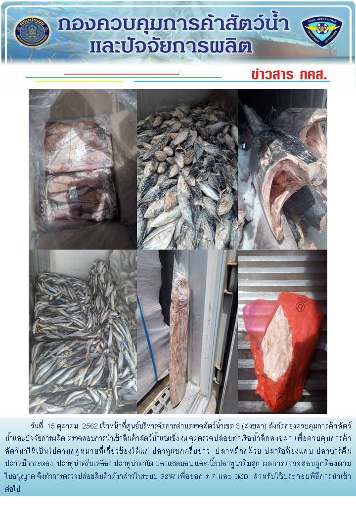 เจ้าหน้าที่ศูนย์บริหารจัดการด่านตรวจสัตว์น้ำเขต 3 (สงขลา) สังกัดกองควบคุมการค้าสัตว์น้ำและปัจจัยการผลิต ตรวจสอบการนำเข้าสินค้าสัตว์น้ำประเภทตู้คอนเทนเนอร์ ณ จุดตรวจปล่อยท่าเรือน้ำลึกสงขลา..คลิก