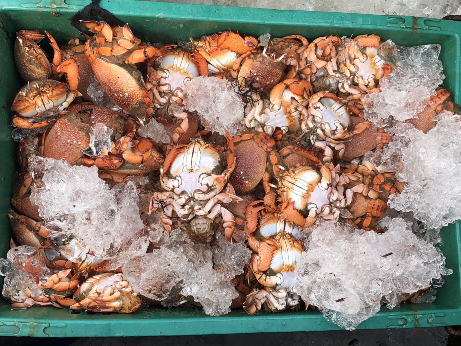 ตรวจสอบเรือและสินค้านำเข้าจากประเทศ MYANMAR..คลิก