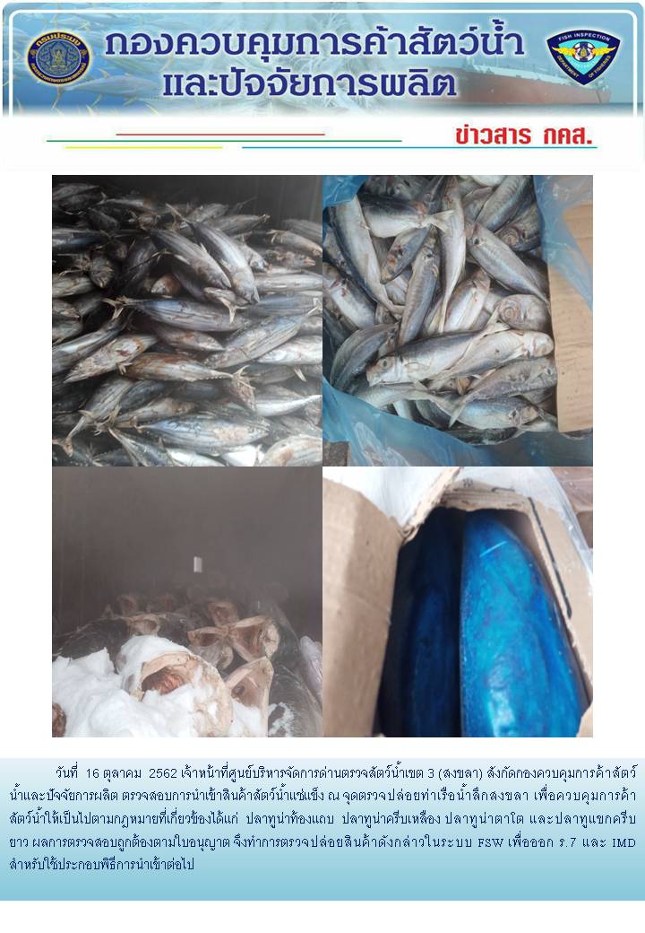 เจ้าหน้าที่ศูนย์บริหารจัดการด่านตรวจสัตว์น้ำเขต 3 (สงขลา) สังกัดกองควบคุมการค้าสัตว์น้ำและปัจจัยการผลิต ตรวจสอบการนำเข้าสินค้าสัตว์น้ำประเภทตู้คอนเทนเนอร์ ณ จุดตรวจปล่อยท่าเรือน้ำลึกสงขลา..คลิก