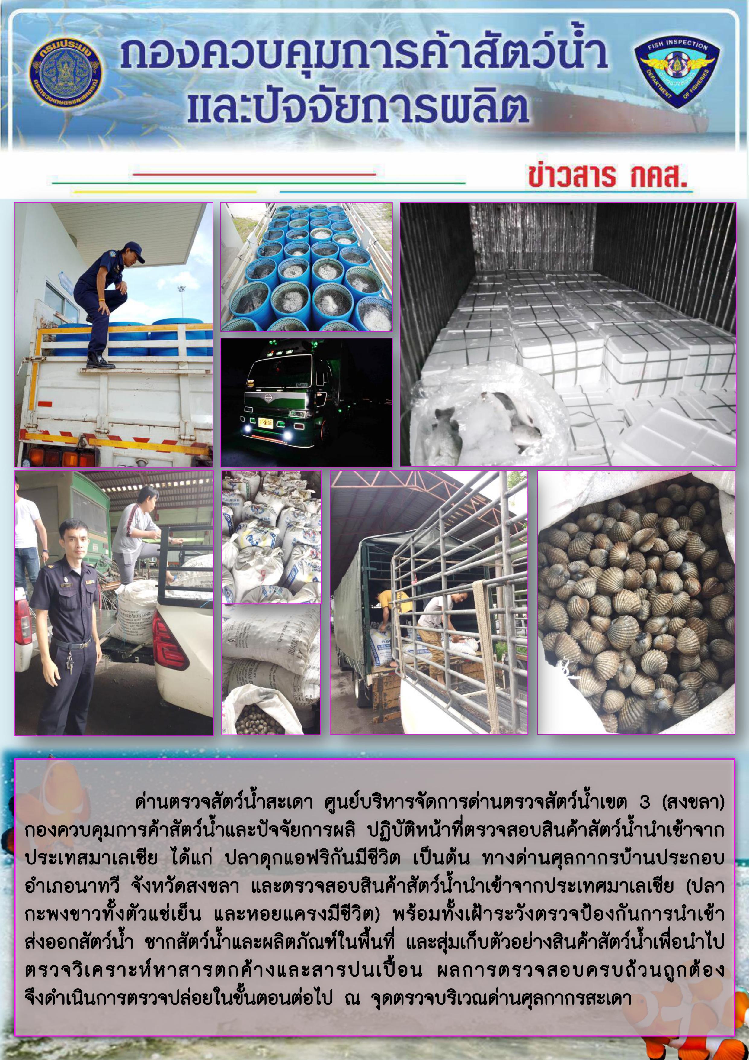 ข่าวสาร กคส. ประจำวันอังคารที่ 15 ตุลาคม 2562..คลิก