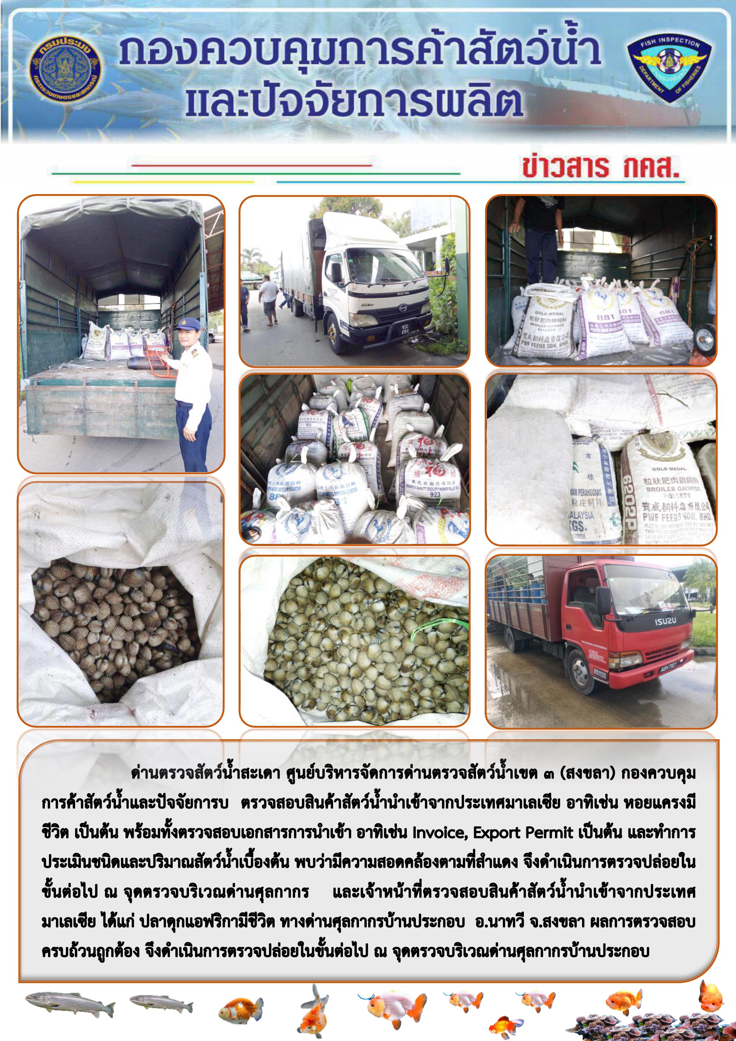 ข่าวสาร กคส. ประจำวันพฤหัสบดีที่ 17 คุลาคม 2562..คลิก