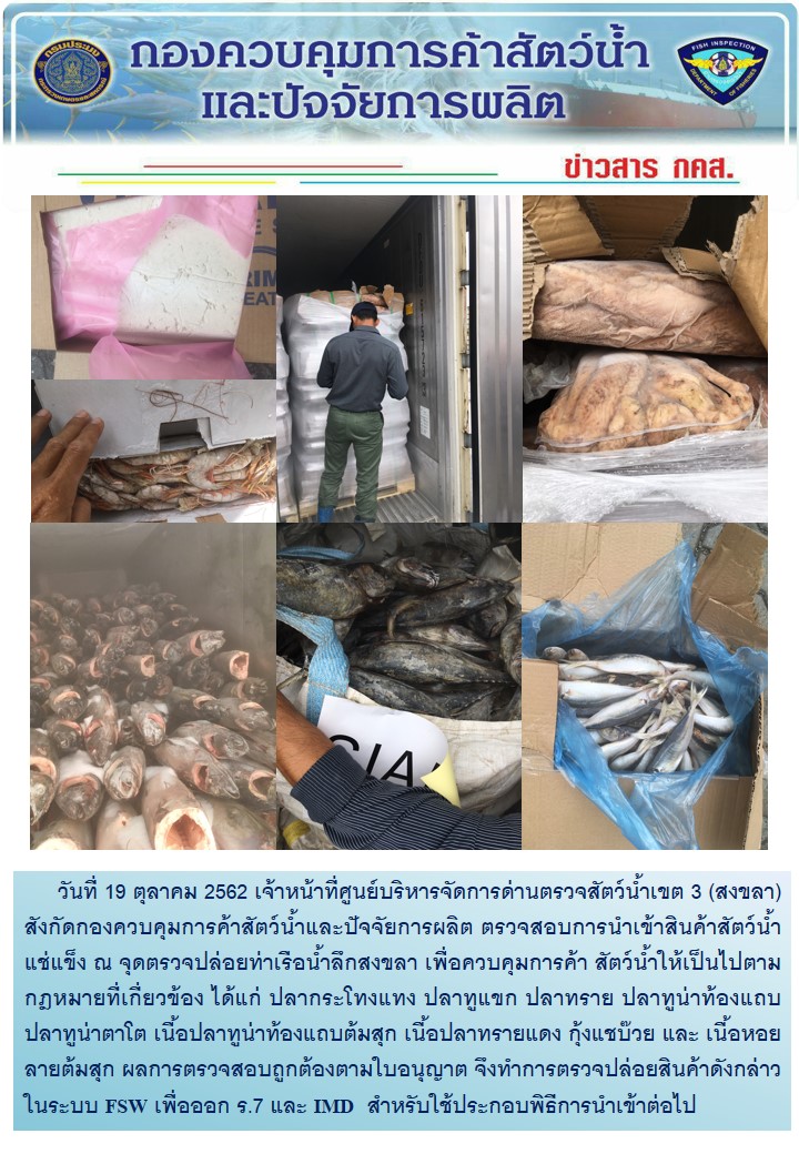 เจ้าหน้าที่ศูนย์บริหารจัดการด่านตรวจสัตว์น้ำเขต 3 (สงขลา) สังกัดกองควบคุมการค้าสัตว์น้ำและปัจจัยการผลิต ตรวจสอบการนำเข้าสินค้าสัตว์น้ำประเภทตู้คอนเทนเนอร์ ณ จุดตรวจปล่อยท่าเรือน้ำลึกสงขลา..คลิก