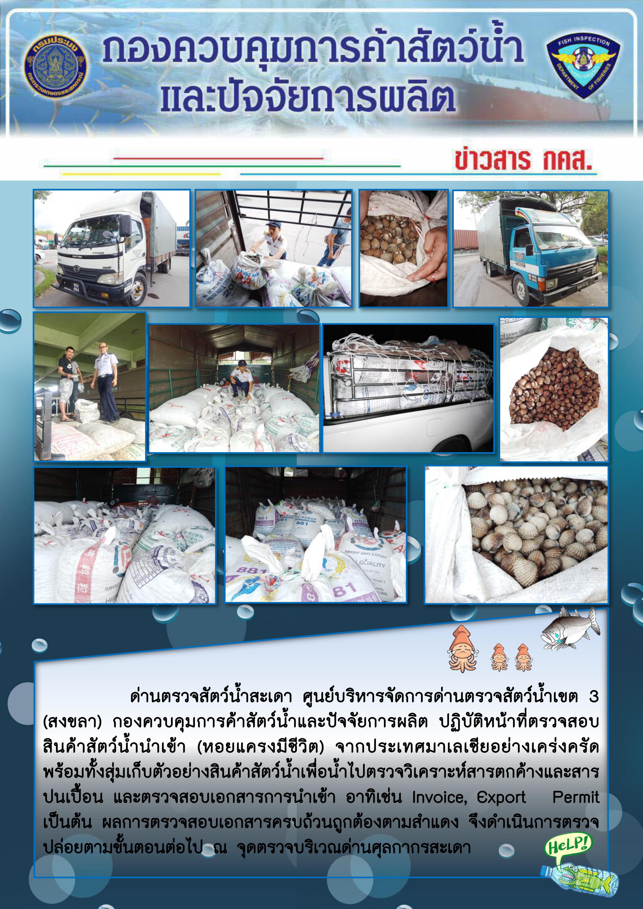 ข่าวสาร กคส. ประจำวันศุกร์ที่ 18 ตุลาคม 2562..คลิก