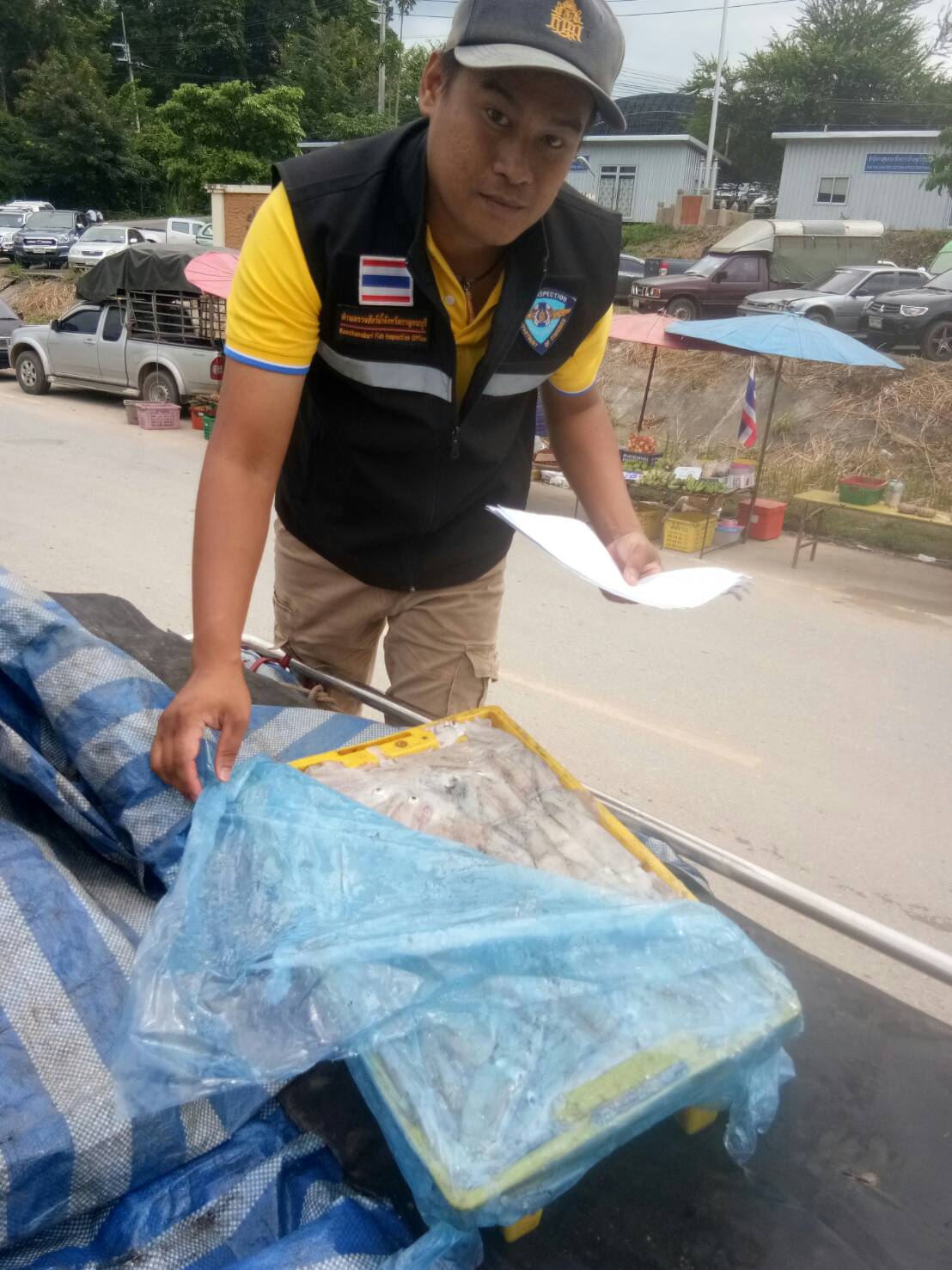 ตรวจสอบสินค้าสัตว์น้ำและเอกสารการนำเข้า หมึกกล้วยแช่เย็น จากประเทศเมียนมา ผ่านทางช่องทางจุดผ่านแดนถาวรบ้านพุน้ำร้อน..คลิก