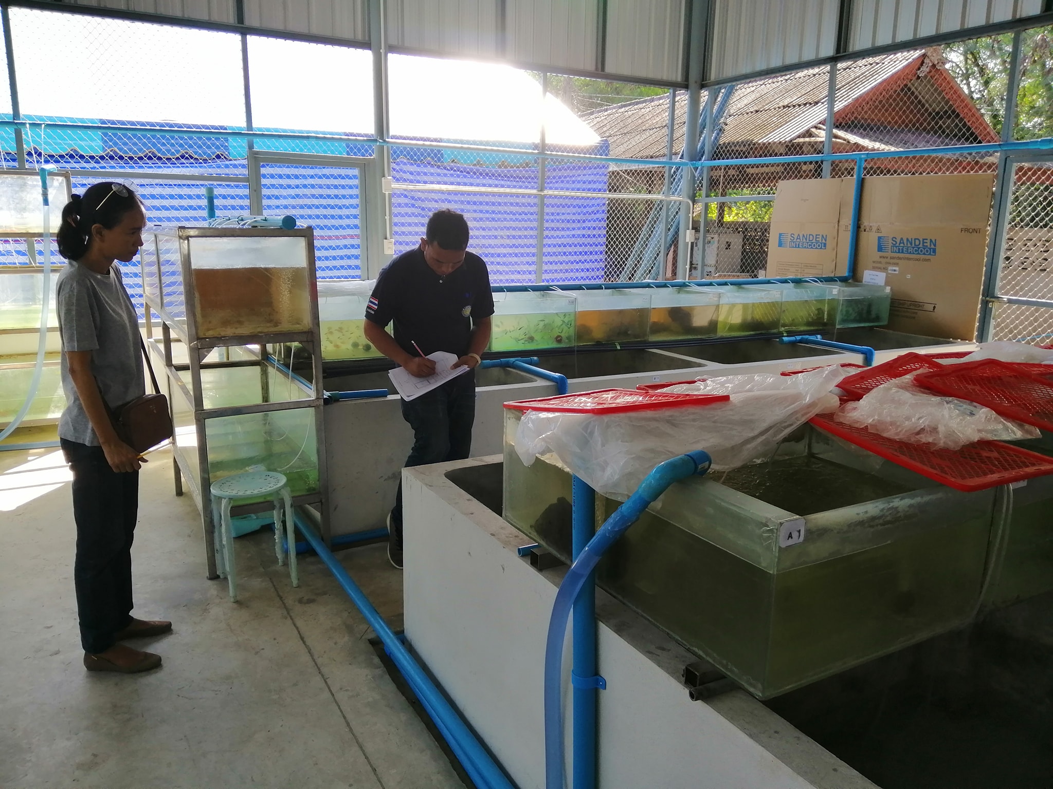 ตรวจสถานประกอบการรวบรวมสัตว์น้ำเพื่อการส่งออก..คลิก