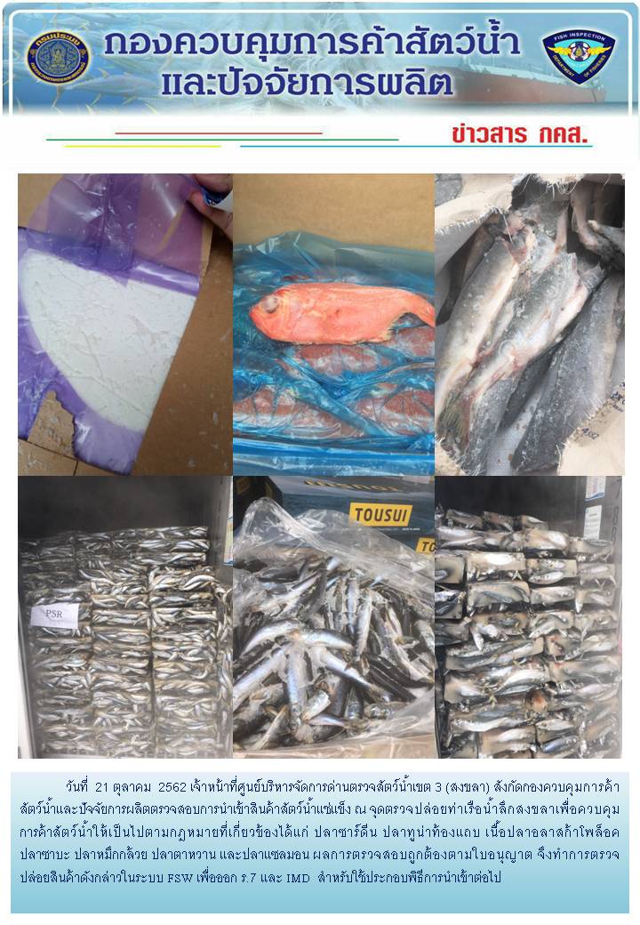 เจ้าหน้าที่ศูนย์บริหารจัดการด่านตรวจสัตว์น้ำเขต 3 (สงขลา) สังกัดกองควบคุมการค้าสัตว์น้ำและปัจจัยการผลิต ตรวจสอบการนำเข้าสินค้าสัตว์น้ำประเภทตู้คอนเทนเนอร์ ณ จุดตรวจปล่อยท่าเรือน้ำลึกสงขลา..คลิก