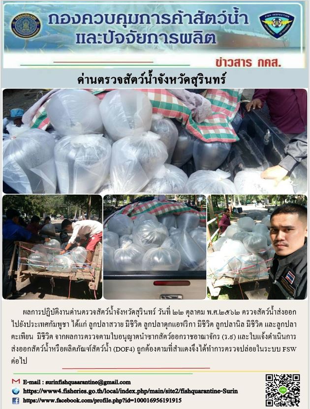 ผลการปฏิบัติงานด่านตรวจสัตว์น้ำจังหวัดสุรินทร์ วันที่ ๒๒ ตุลาคม พ.ศ.๒๕๖๒..คลิก