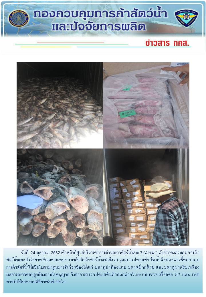 เจ้าหน้าที่ศูนย์บริหารจัดการด่านตรวจสัตว์น้ำเขต 3 (สงขลา) สังกัดกองควบคุมการค้าสัตว์น้ำและปัจจัยการผลิต ตรวจสอบการนำเข้าสินค้าสัตว์น้ำประเภทตู้คอนเทนเนอร์ ณ จุดตรวจปล่อยท่าเรือน้ำลึกสงขลา..คลิก