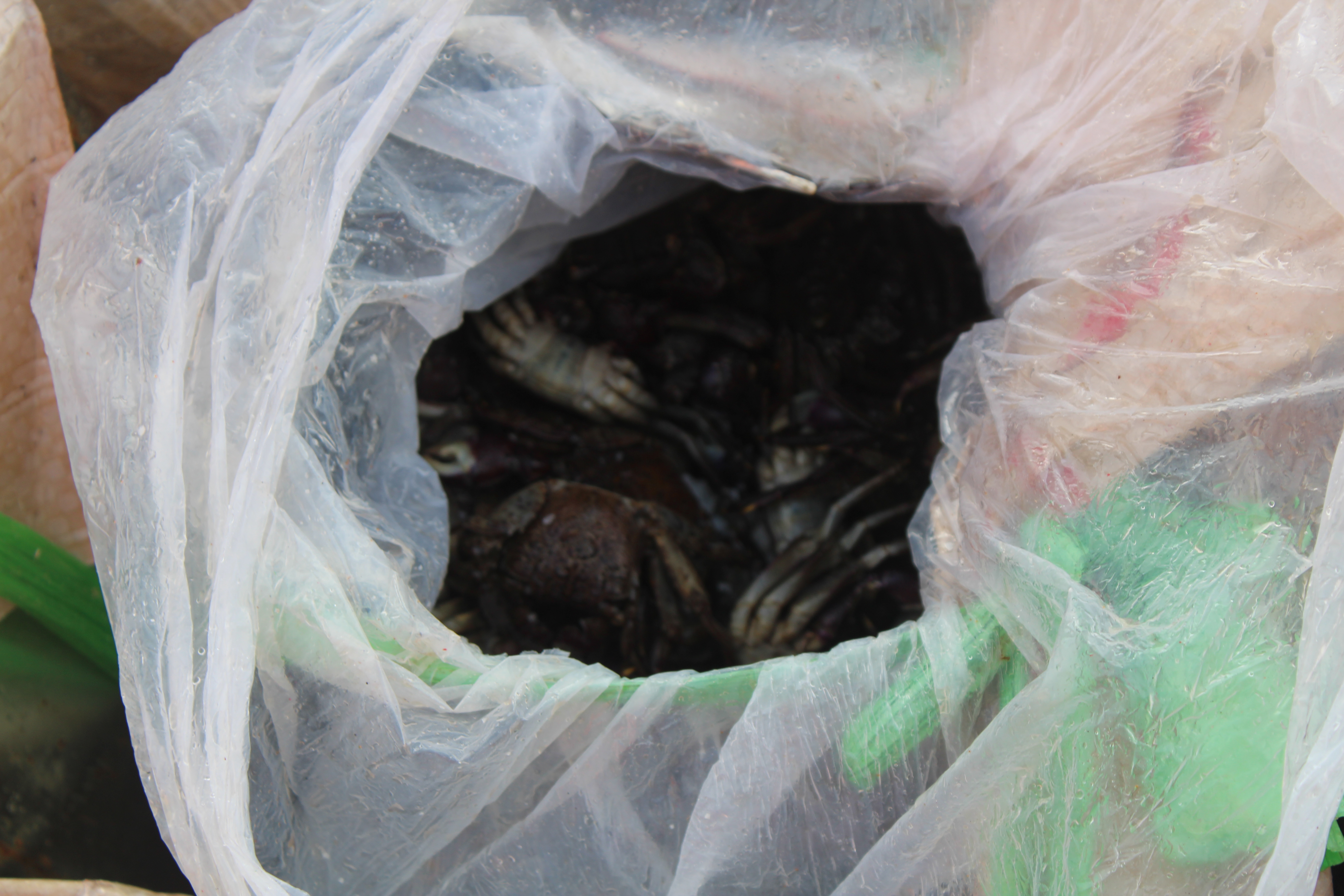 ตรวจสอบเรือและสินค้านำเข้าจากประเทศ MYANMAR..คลิก