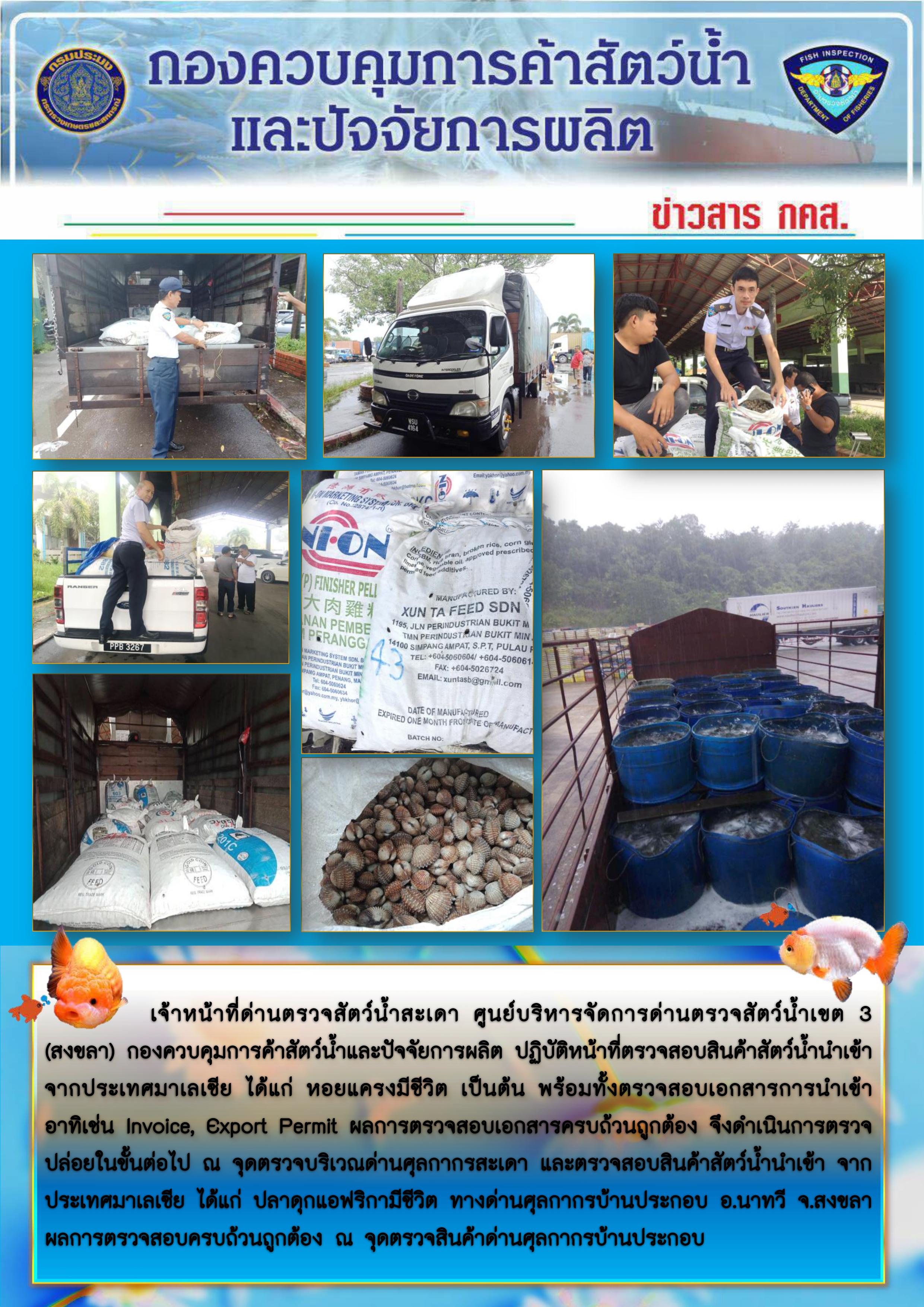 ข่าวสาร กคส. ประจำวันศุกร์ที่ 25 ตุลาคม 2562..คลิก