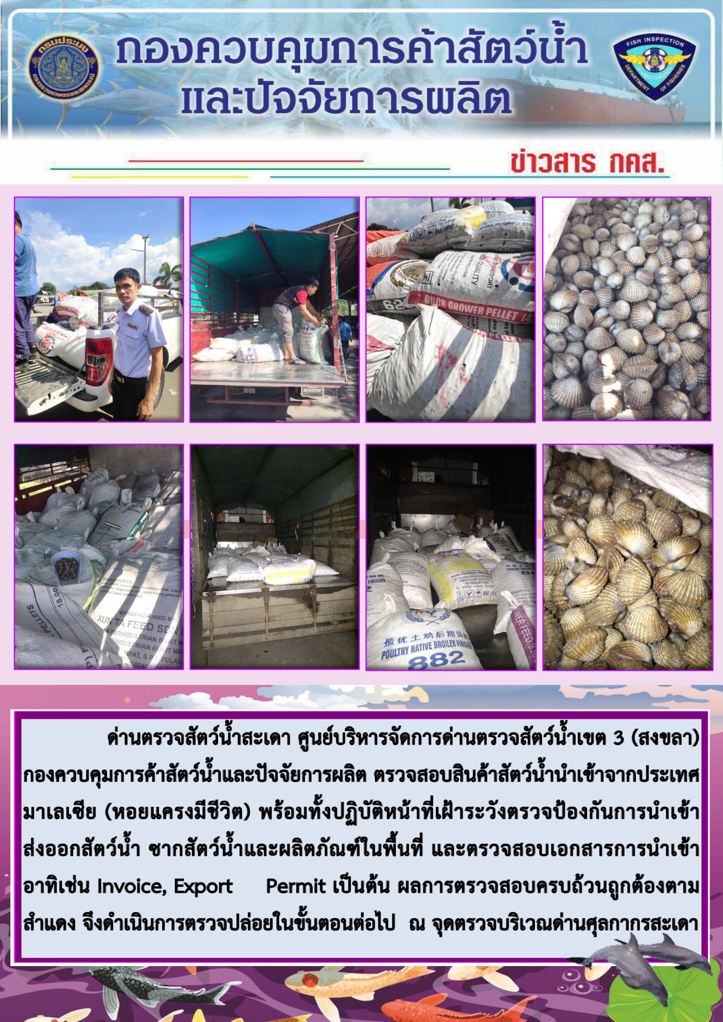 ข่าวสาร กคส. ประจำวันเสาร์ที่ 26 ตุลาคม 2562..คลิก