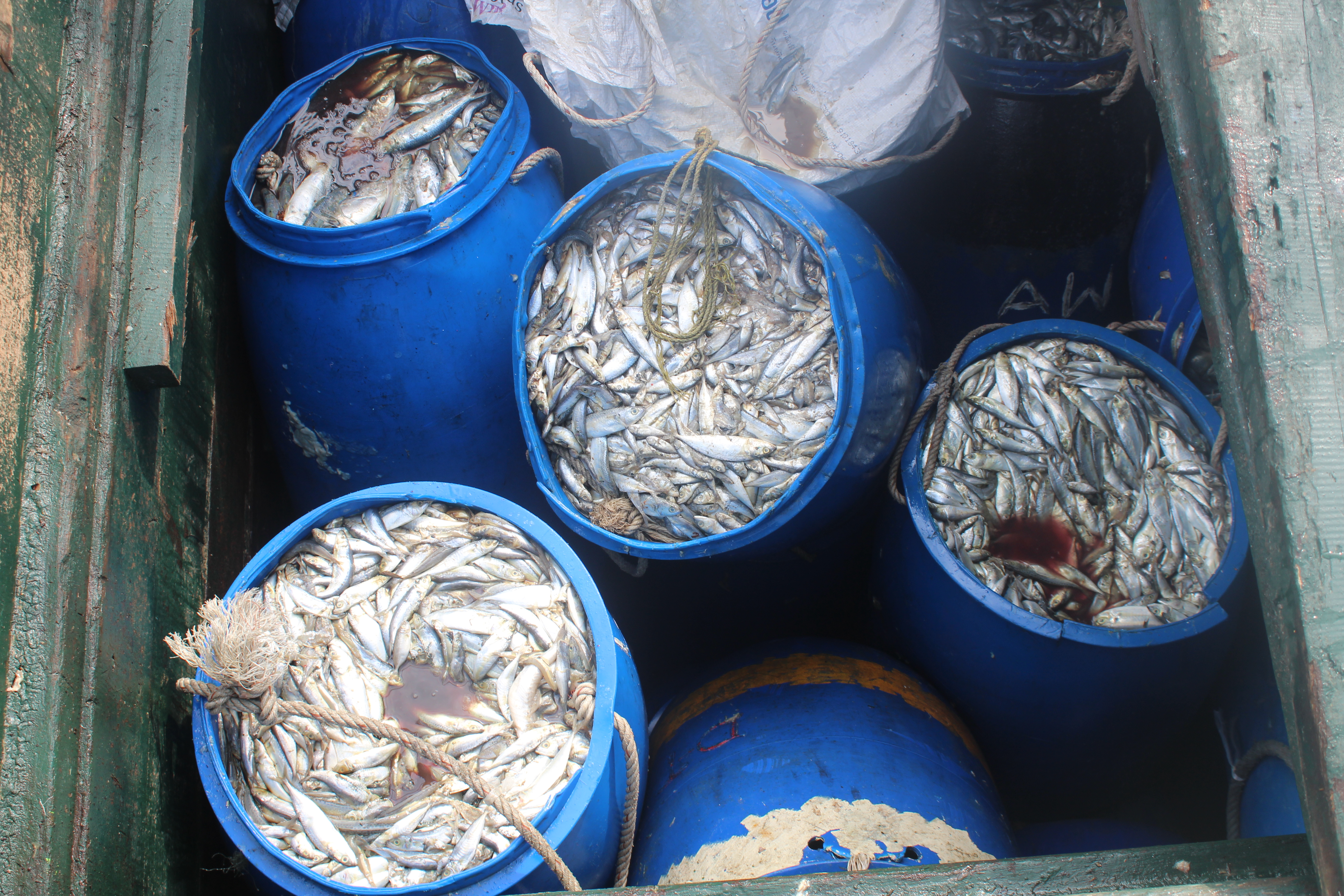 ตรวจสอบเรือและสินค้านำเข้าจากประเทศ MYANMAR..คลิก