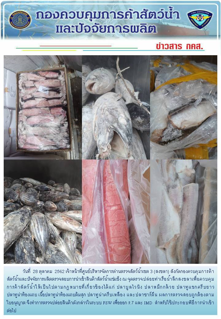 เจ้าหน้าที่ศูนย์บริหารจัดการด่านตรวจสัตว์น้ำเขต 3 (สงขลา) สังกัดกองควบคุมการค้าสัตว์น้ำและปัจจัยการผลิต ตรวจสอบการนำเข้าสินค้าสัตว์น้ำประเภทตู้คอนเทนเนอร์ ณ จุดตรวจปล่อยท่าเรือน้ำลึกสงขลา..คลิก