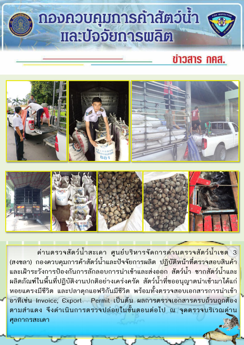 ข่าวสาร กคส. ประจำวันจันทร์ที่ 28 ตุลาคม 2562..คลิก