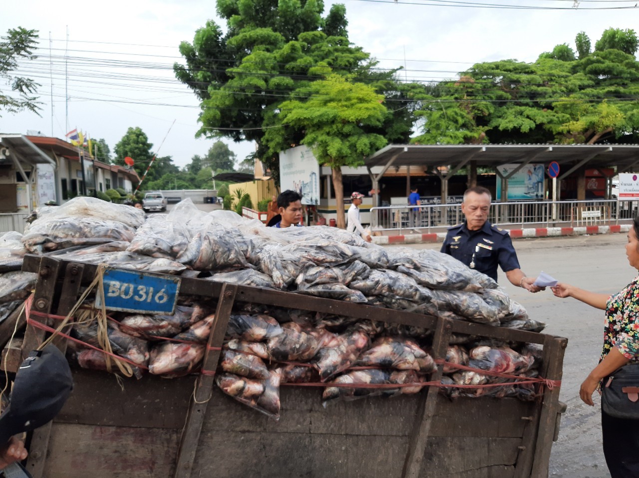 ตรวจสินค้าประมงที่นำเข้า ส่งออก ทางด่านพรมแดนถาวรคลองลึก..คลิก