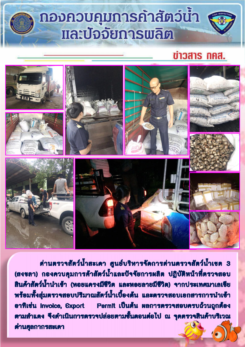ข่าวสาร กคส. ประจำวันอังคารที่ 29 ตุลาคม 2562..คลิก