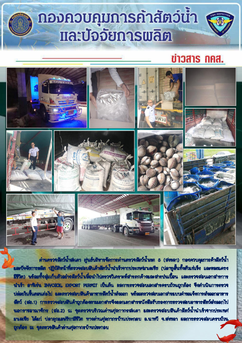 ข่าวสาร กคส. ประจำวันพุธที่ 30 ตุลาคม 2562..คลิก