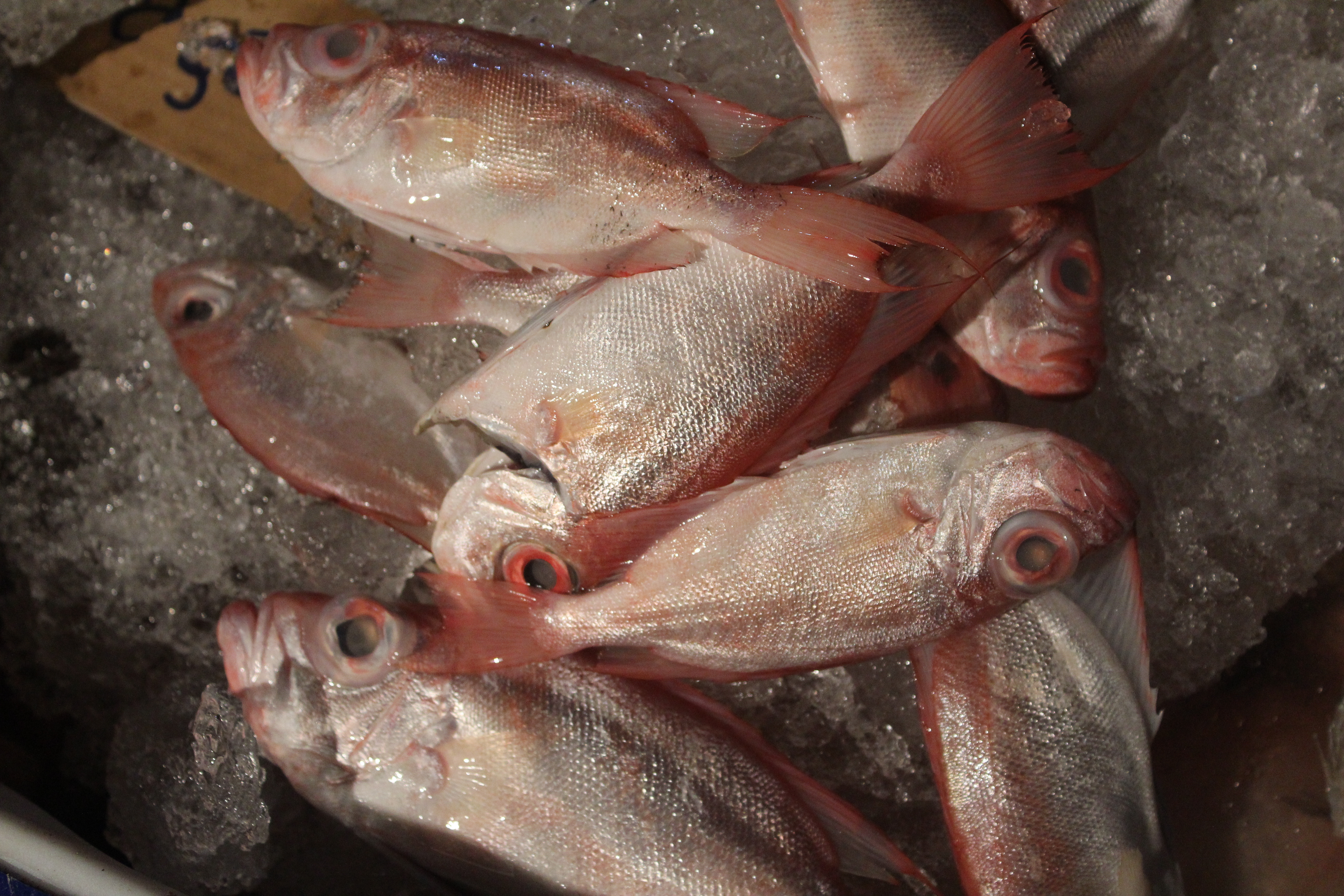 ตรวจสอบเรือและสินค้านำเข้าจากประเทศ MYANMAR..คลิก