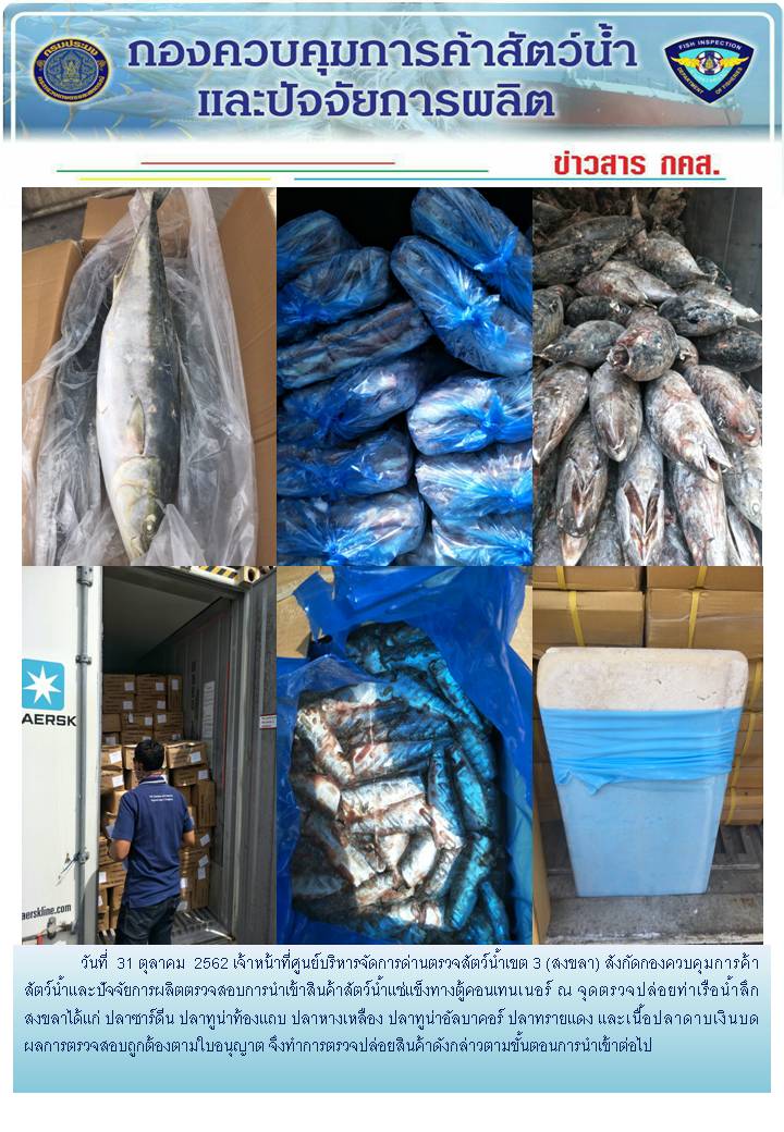 เจ้าหน้าที่ศูนย์บริหารจัดการด่านตรวจสัตว์น้ำเขต 3 (สงขลา) สังกัดกองควบคุมการค้าสัตว์น้ำและปัจจัยการผลิต ตรวจสอบการนำเข้าสินค้าสัตว์น้ำประเภทตู้คอนเทนเนอร์ ณ จุดตรวจปล่อยท่าเรือน้ำลึกสงขลา..คลิก