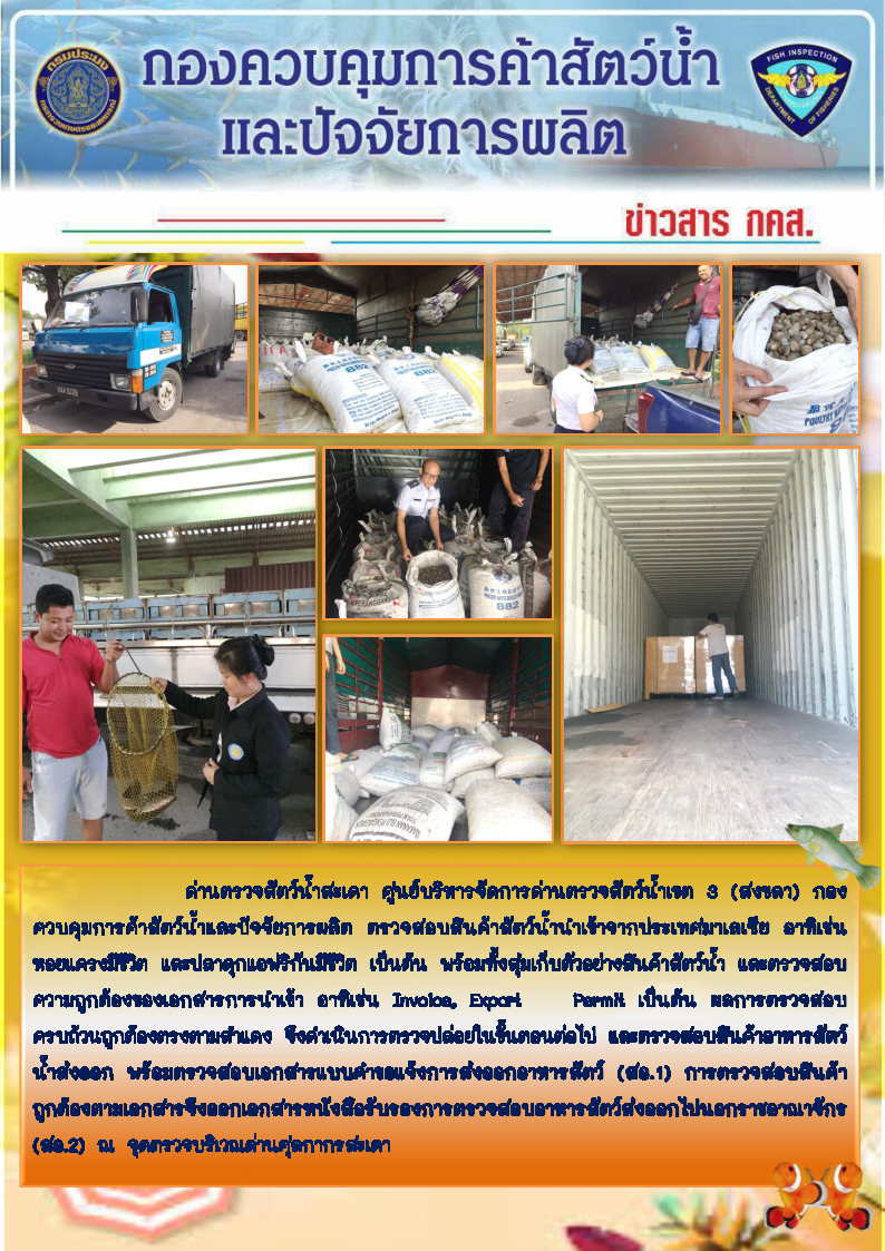 ข่าวสาร กคส. ประจำวันพฤหัสบดีที่ 31 ตุลาคม 2562..คลิก