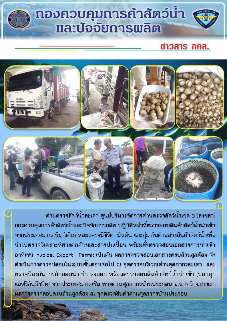 ข่าวสาร กคส. ประจำวันศุกร์ที่ 1 พฤศจิกายน 2562..คลิก