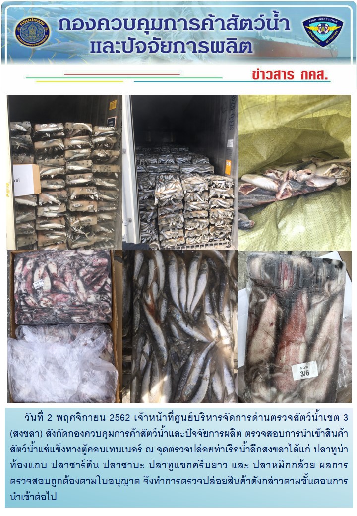 เจ้าหน้าที่ศูนย์บริหารจัดการด่านตรวจสัตว์น้ำเขต 3 (สงขลา) สังกัดกองควบคุมการค้าสัตว์น้ำและปัจจัยการผลิต ตรวจสอบการนำเข้าสินค้าสัตว์น้ำอายัดประเภทตู้คอนเทนเนอร์ ณ จุดตรวจปล่อยท่าเรือน้ำลึกสงขลา..คลิก