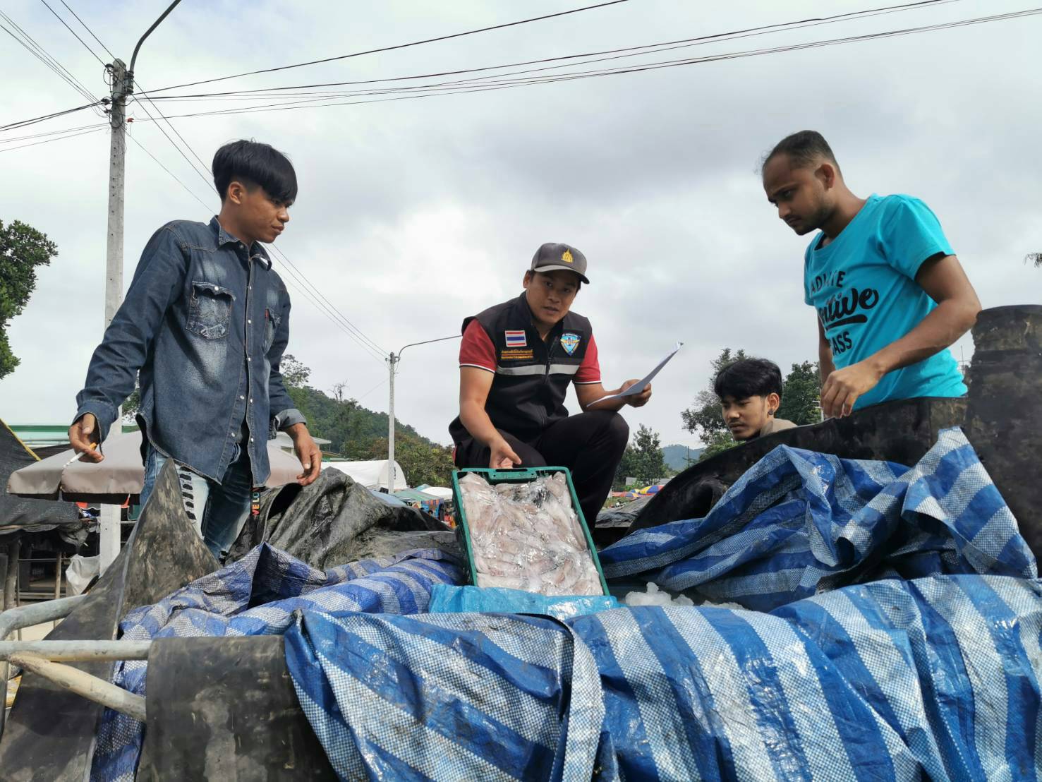 ตรวจสอบสินค้าสัตว์น้ำและเอกสารการนำเข้า หมึกกล้วยแช่เย็น และปูทะเลมีชีวิต จากประเทศเมียนมา ผ่านทางช่องทางจุดผ่านแดนถาวรบ้านพุน้ำร้อน..คลิก