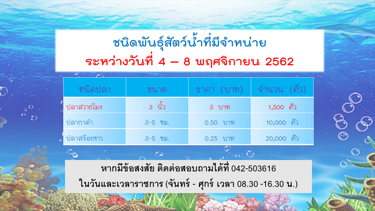 พันธุ์สัตว์น้ำที่มีจำหน่าย ระหว่างวันที่ 4 - 8 พฤศจิกายน 2562..คลิก