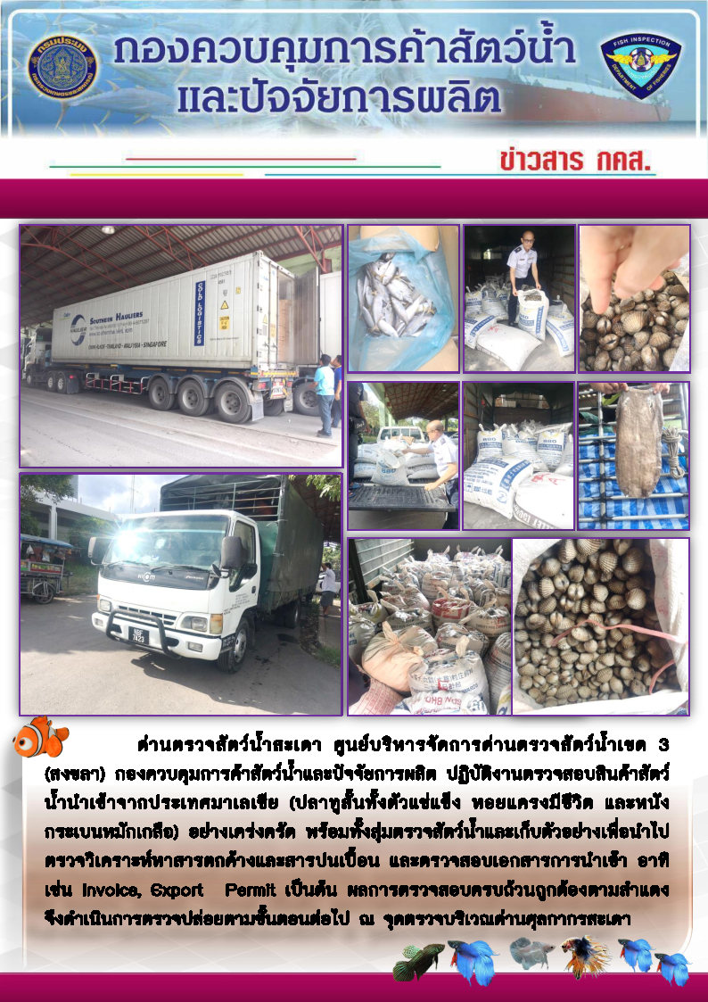 ข่าวสาร กคส. ประจำวันเสาร์ที่ 2 พฤศจิกายน 2562..คลิก