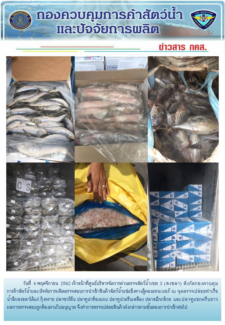 เจ้าหน้าที่ศูนย์บริหารจัดการด่านตรวจสัตว์น้ำเขต 3 (สงขลา) สังกัดกองควบคุมการค้าสัตว์น้ำและปัจจัยการผลิต ตรวจสอบการนำเข้าสินค้าสัตว์น้ำประเภทตู้คอนเทนเนอร์ ณ จุดตรวจปล่อยท่าเรือน้ำลึกสงขลา..คลิก