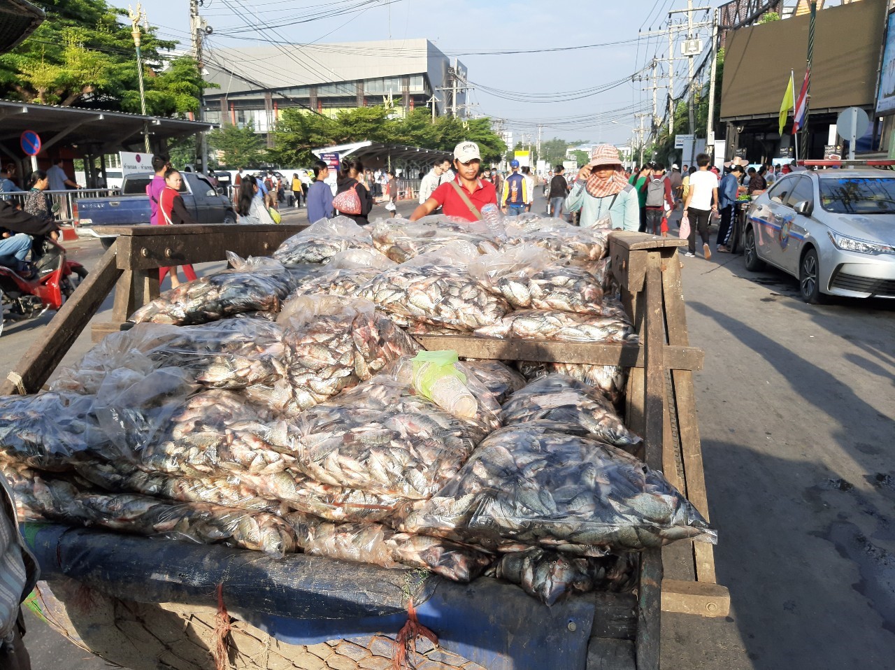 ตรวจสินค้าประมงที่นำเข้า ส่งออก ทางด่านพรมแดนถาวรคลองลึก..คลิก