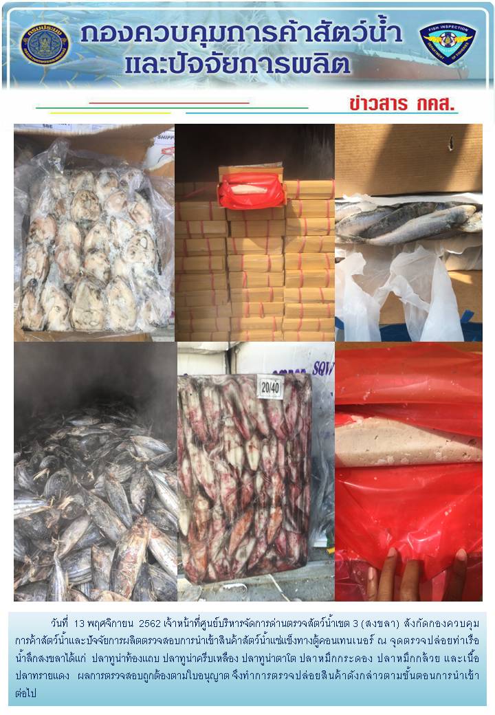 เจ้าหน้าที่ศูนย์บริหารจัดการด่านตรวจสัตว์น้ำเขต 3 (สงขลา) สังกัดกองควบคุมการค้าสัตว์น้ำและปัจจัยการผลิต ตรวจสอบการนำเข้าสินค้าสัตว์น้ำประเภทตู้คอนเทนเนอร์ ณ จุดตรวจปล่อยท่าเรือน้ำลึกสงขลา..คลิก