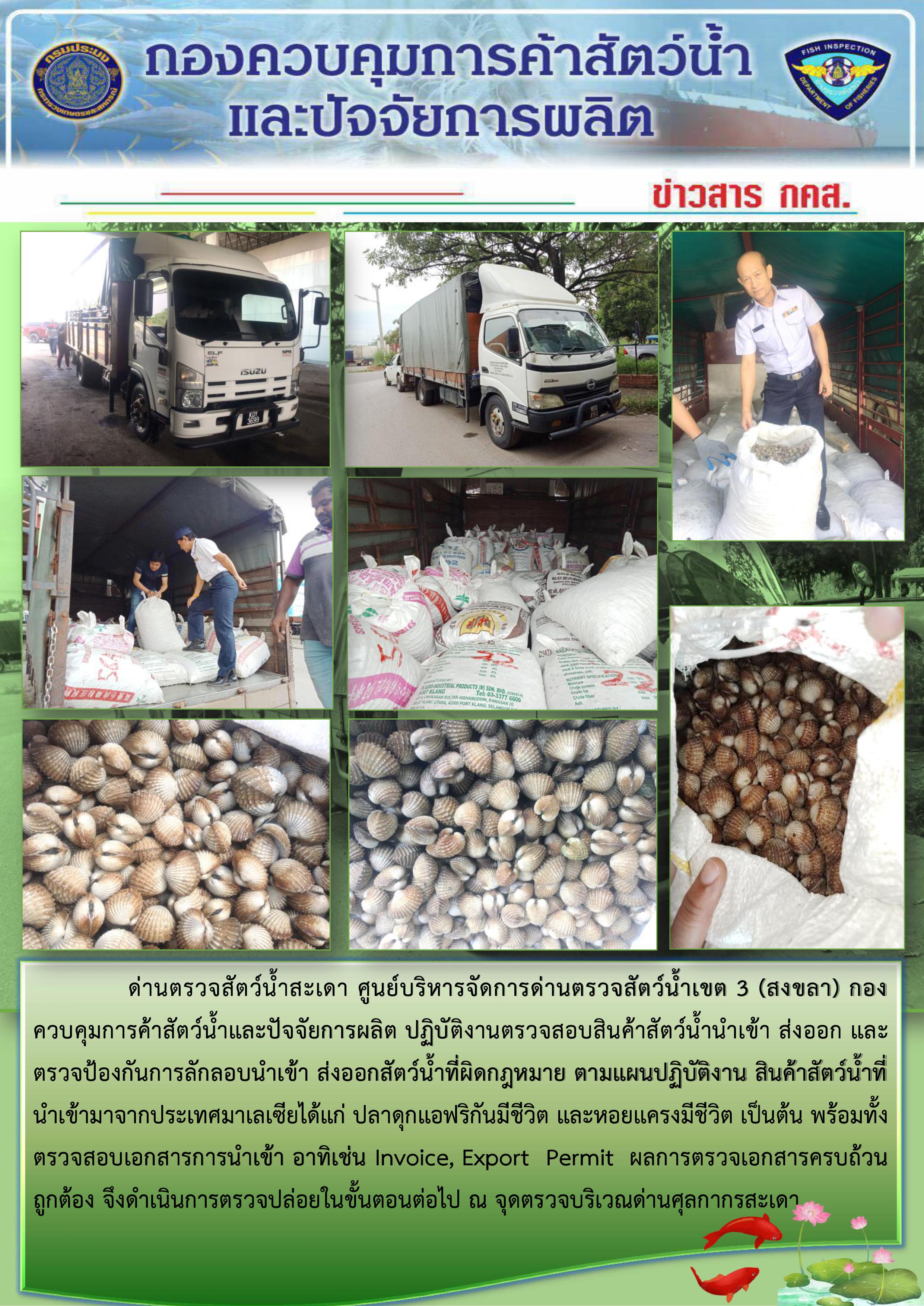 ข่าวสาร กคส. ประจำพุธที่ 13 พฤศจิกายน 2562..คลิก