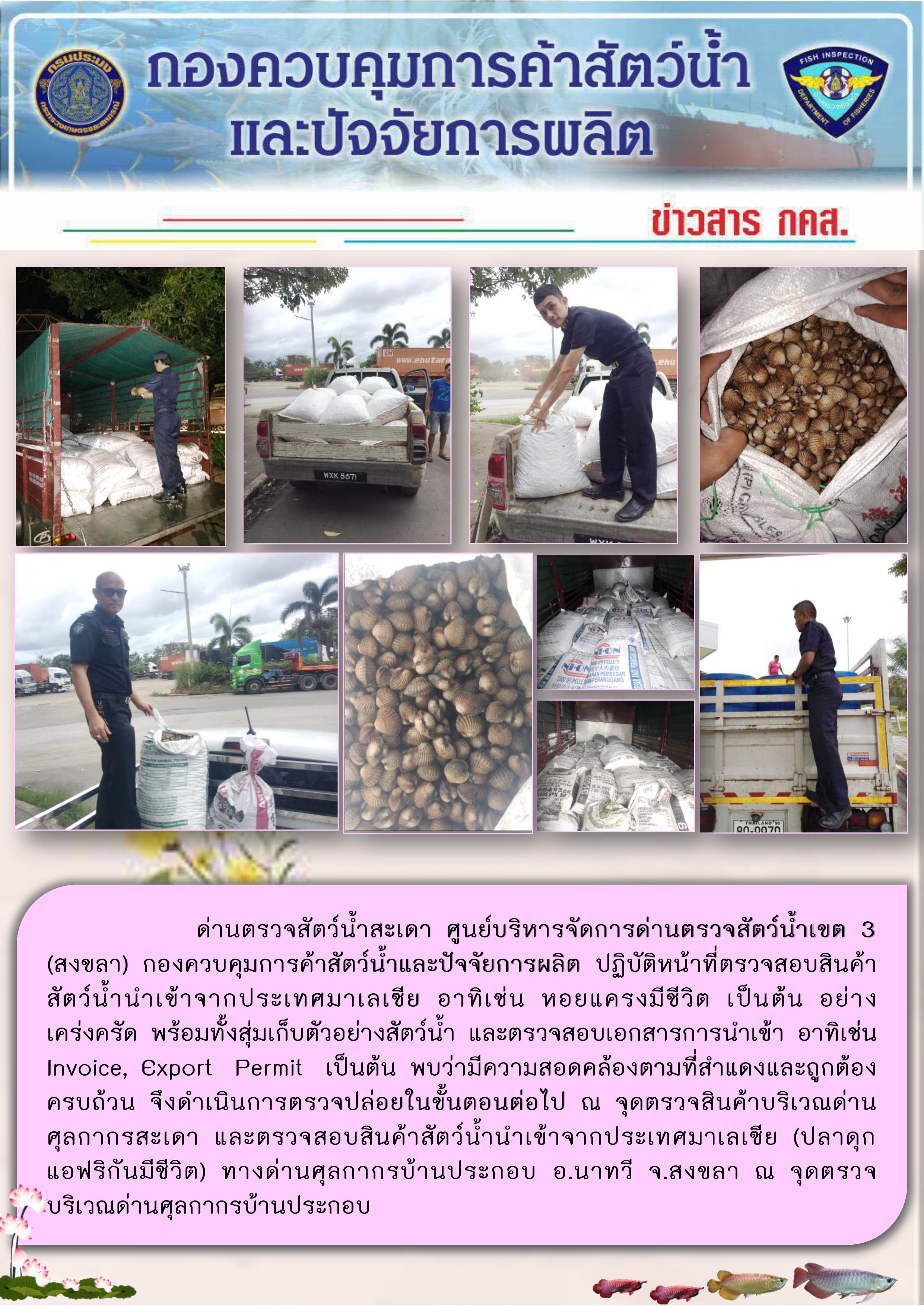 ข่าวสาร กคส. ประจำวันอังคารที่ 26 พฤศจิกายน 2562..คลิก