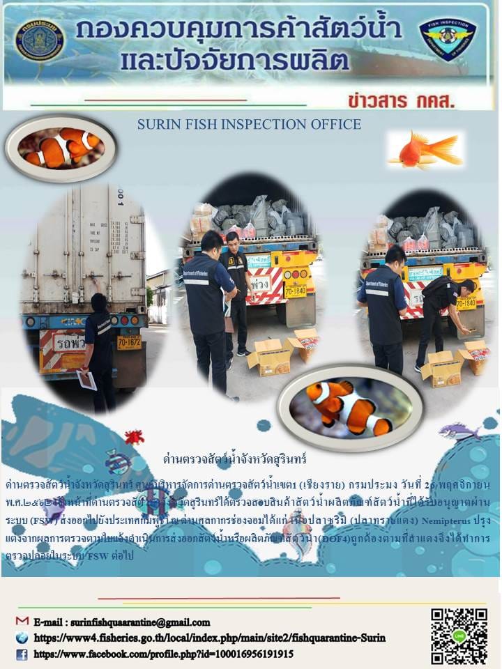 ผลการปฏิบัติงานด่านตรวจสัตว์น้ำจังหวัดสุรินทร์ วันที่ ๒๖ พฤศจิกายน พ.ศ.๒๕๖๒..คลิก