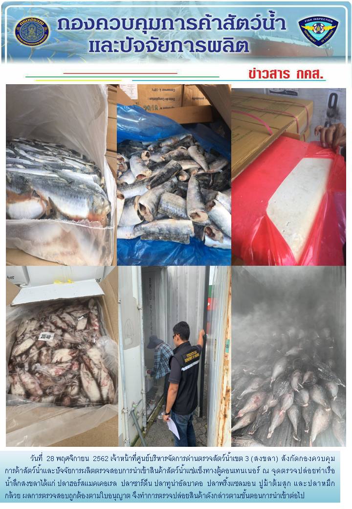 เจ้าหน้าที่ศูนย์บริหารจัดการด่านตรวจสัตว์น้ำเขต 3 (สงขลา) สังกัดกองควบคุมการค้าสัตว์น้ำและปัจจัยการผลิต ตรวจสอบการนำเข้าสินค้าสัตว์น้ำประเภทตู้คอนเทนเนอร์ ณ จุดตรวจปล่อยท่าเรือน้ำลึกสงขลา..คลิก