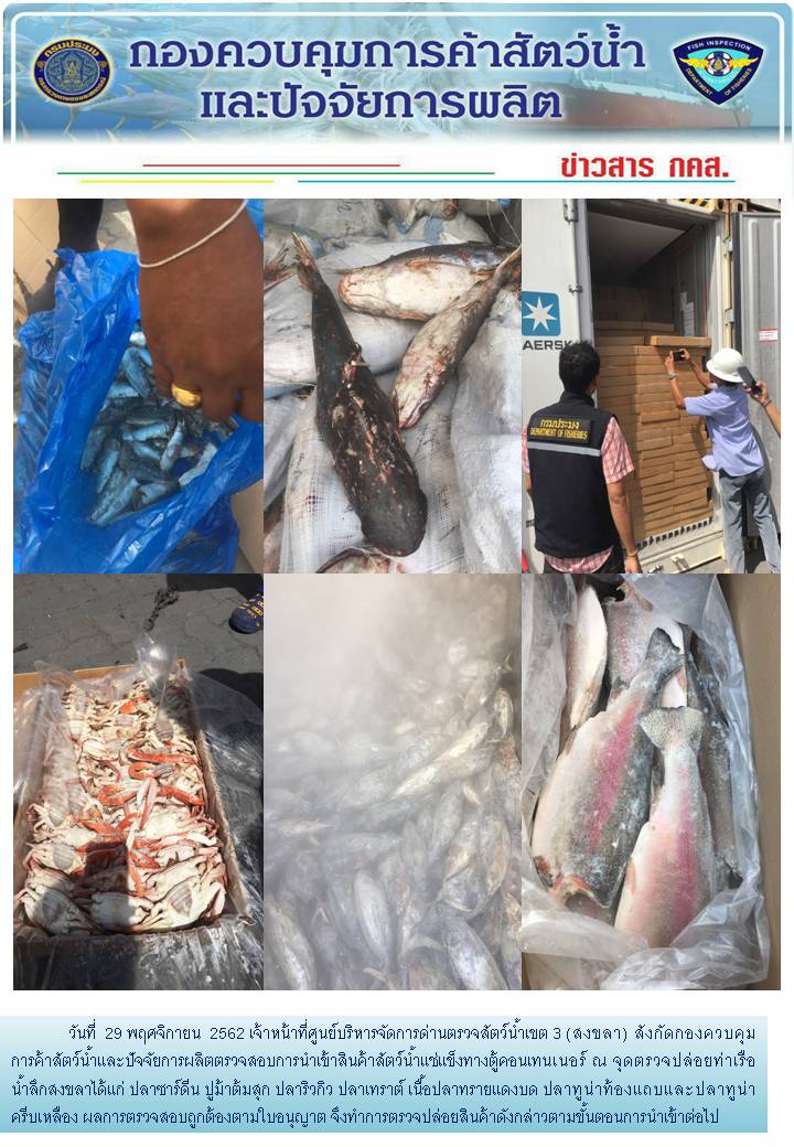 เจ้าหน้าที่ศูนย์บริหารจัดการด่านตรวจสัตว์น้ำเขต 3 (สงขลา) สังกัดกองควบคุมการค้าสัตว์น้ำและปัจจัยการผลิต ตรวจสอบการนำเข้าสินค้าสัตว์น้ำประเภทตู้คอนเทนเนอร์ ณ จุดตรวจปล่อยท่าเรือน้ำลึกสงขลา..คลิก