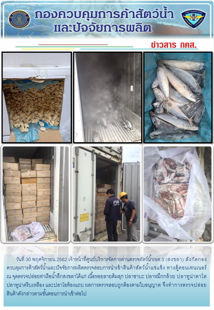 เจ้าหน้าที่ศูนย์บริหารจัดการด่านตรวจสัตว์น้ำเขต 3 (สงขลา) สังกัดกองควบคุมการค้าสัตว์น้ำและปัจจัยการผลิต ตรวจสอบการนำเข้าสินค้าสัตว์น้ำประเภทตู้คอนเทนเนอร์ ณ จุดตรวจปล่อยท่าเรือน้ำลึกสงขลา..คลิก
