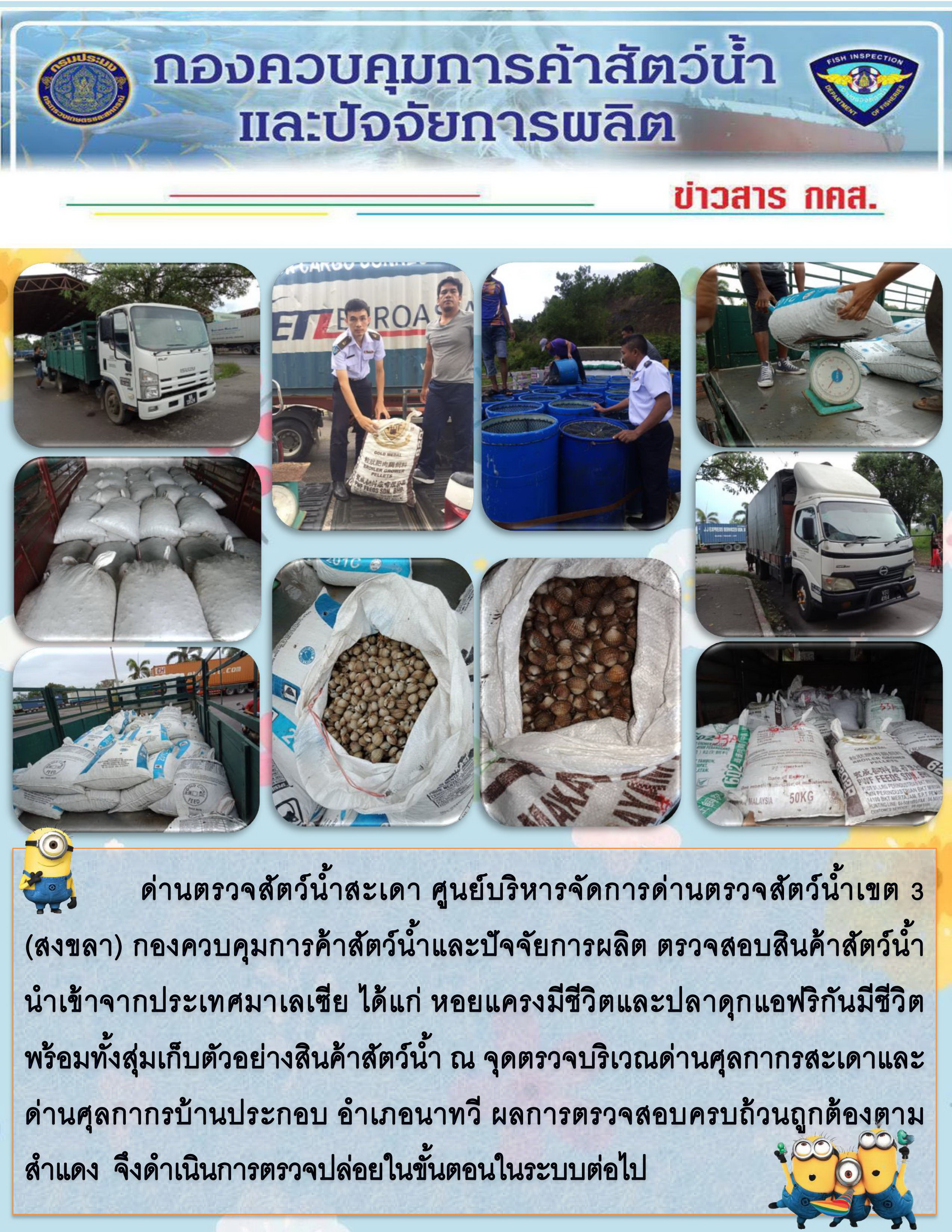 ข่าวสาร กคส. ประจำวันอาทิตย์ที่ 1 ธันวาคม 2562..คลิก