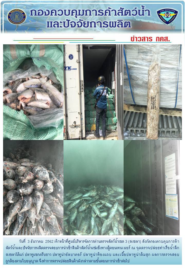 เจ้าหน้าที่ศูนย์บริหารจัดการด่านตรวจสัตว์น้ำเขต 3 (สงขลา) สังกัดกองควบคุมการค้าสัตว์น้ำและปัจจัยการผลิต ตรวจสอบการนำเข้าสินค้าสัตว์น้ำประเภทตู้คอนเทนเนอร์ ณ จุดตรวจปล่อยท่าเรือน้ำลึกสงขลา..คลิก
