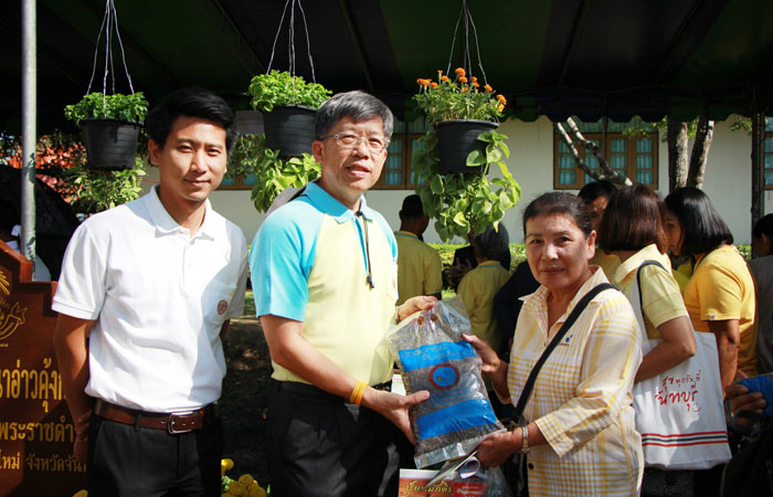 นิทรรศการ 