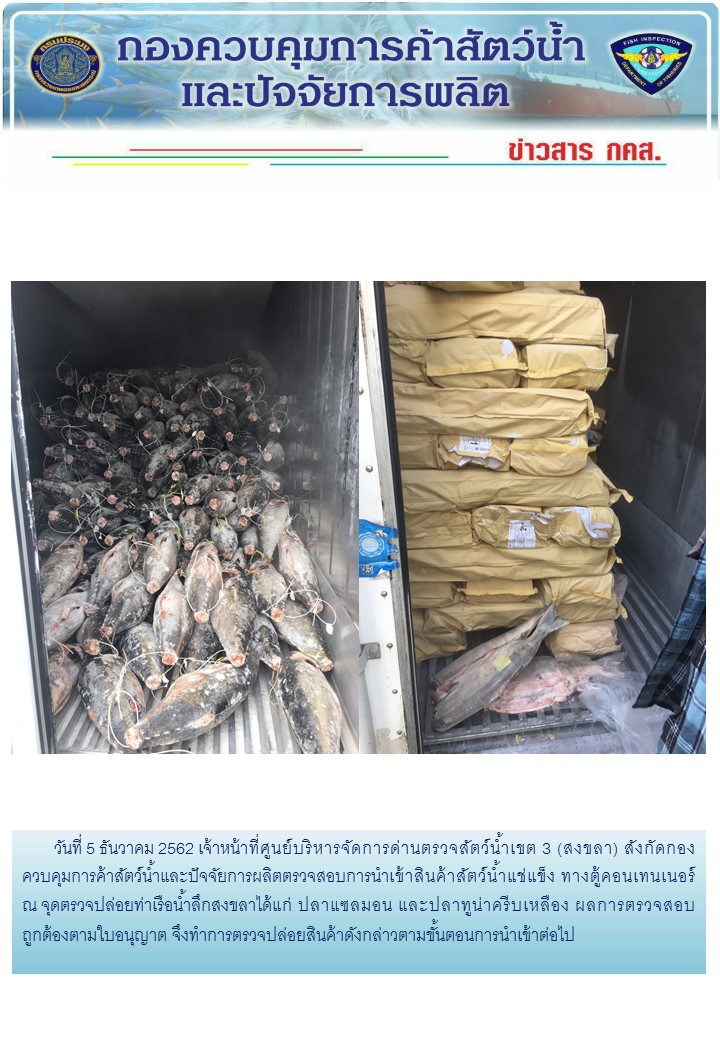 เจ้าหน้าที่ศูนย์บริหารจัดการด่านตรวจสัตว์น้ำเขต 3 (สงขลา) สังกัดกองควบคุมการค้าสัตว์น้ำและปัจจัยการผลิต ตรวจสอบการนำเข้าสินค้าสัตว์น้ำประเภทตู้คอนเทนเนอร์ ณ จุดตรวจปล่อยท่าเรือน้ำลึกสงขลา..คลิก