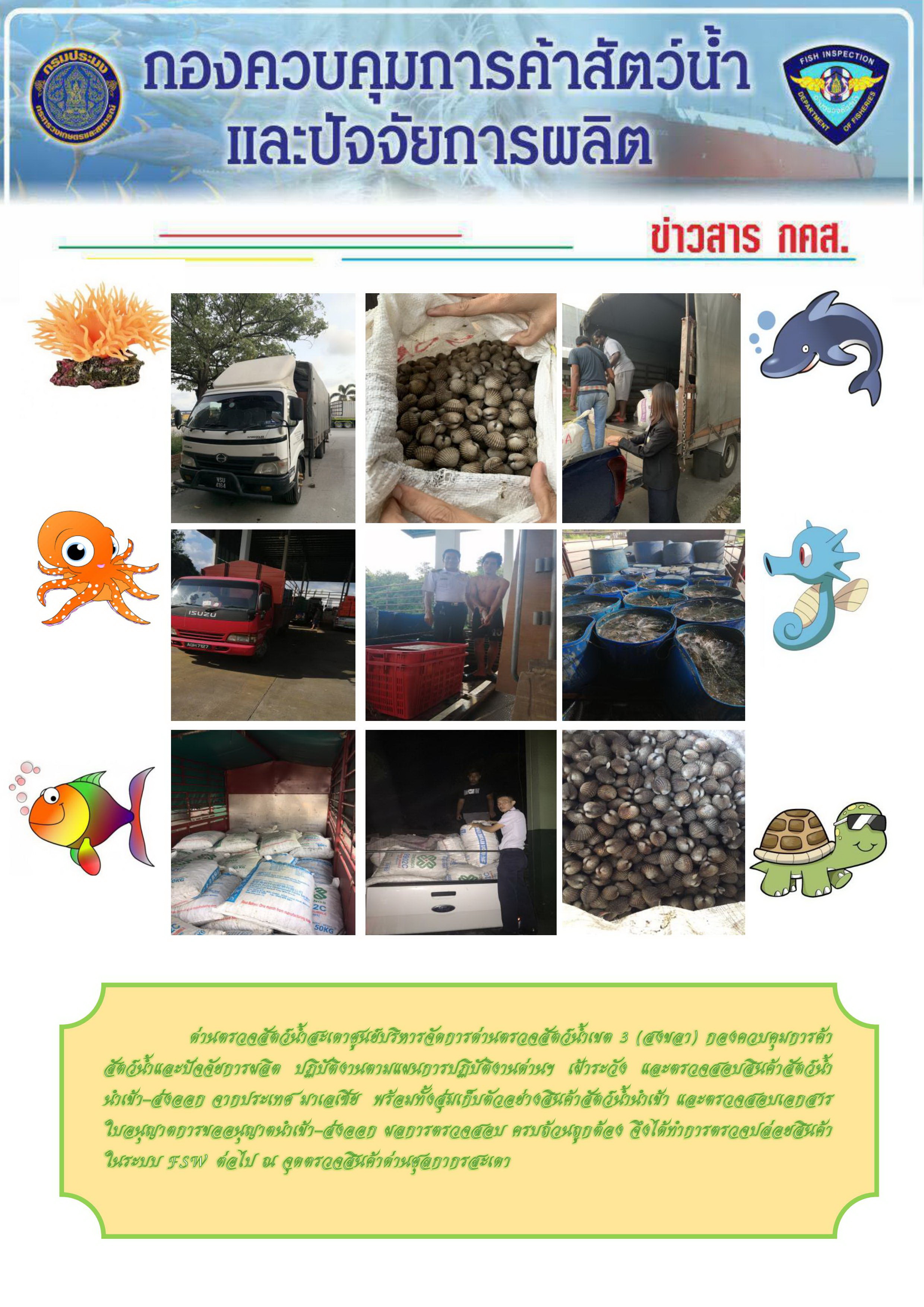 ข่าวสาร กคส. ประจำวันอาทิตย์ที่ 8 ธันวาคม 2562..คลิก