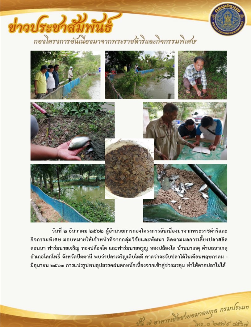 ติดตามการดำเนินงานโครงการเลี้ยงปลาสลิดดอนนา เมื่อวันที่ 2 ธันวาคม 2562..คลิก
