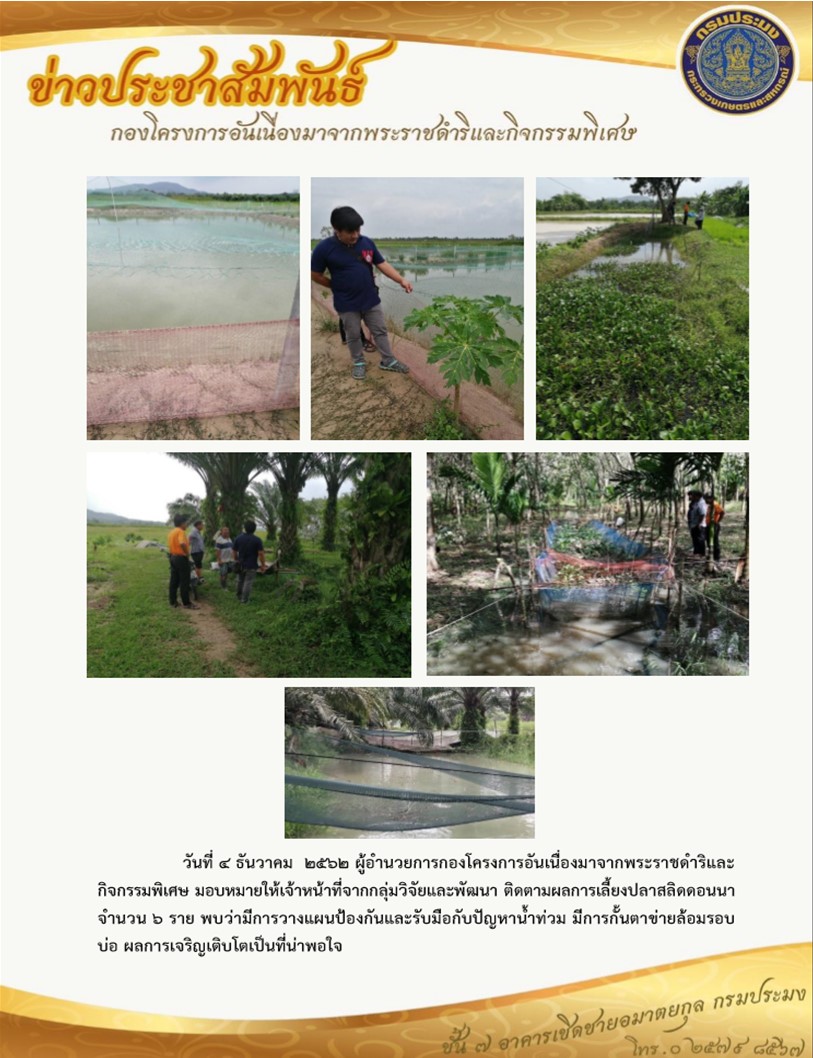 ติดตามการดำเนินงานโครงการเลี้ยงปลาสลิดดอนนา เมื่อวันที่ 4 ธันวาคม 2562..คลิก