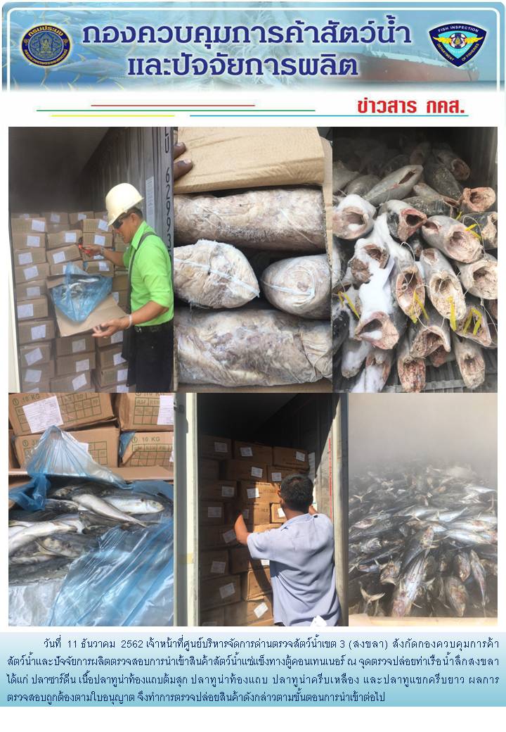 เจ้าหน้าที่ศูนย์บริหารจัดการด่านตรวจสัตว์น้ำเขต 3 (สงขลา) สังกัดกองควบคุมการค้าสัตว์น้ำและปัจจัยการผลิต ตรวจสอบการนำเข้าสินค้าสัตว์น้ำประเภทตู้คอนเทนเนอร์ ณ จุดตรวจปล่อยท่าเรือน้ำลึกสงขลา..คลิก